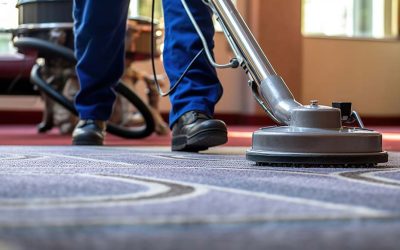 Why Carpet Cleaning is Important
