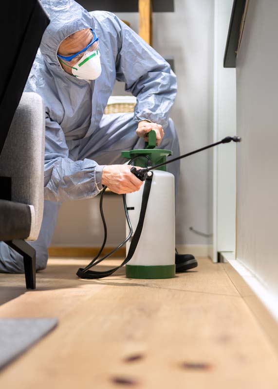 blue pine commercial cleaning pest control